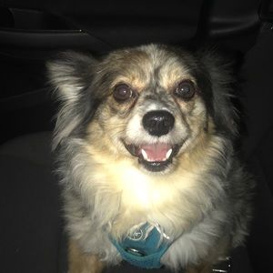 Meet your Posher, Mackenzie